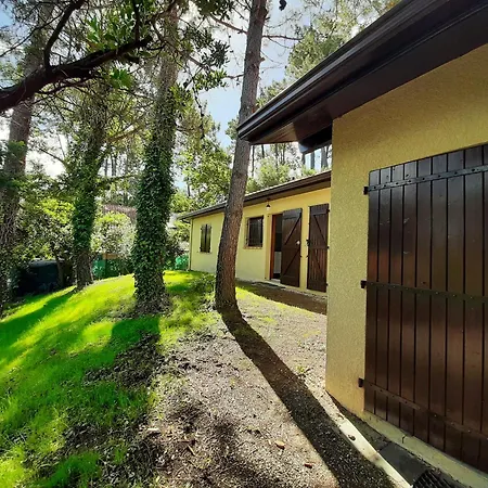 Maison Familiale Avec Jardin, Pres De L'ocean Dans Un Quartier Calme - Fr-1-239-820 Labenne