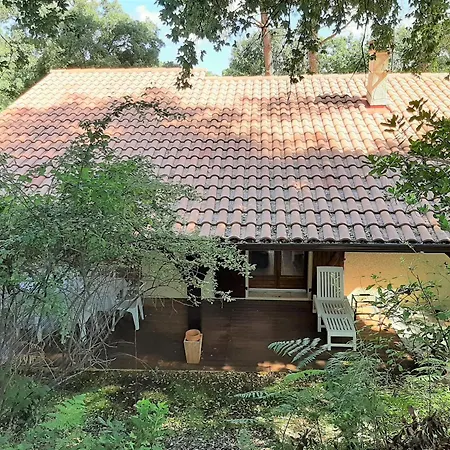 Maison Labenne, 4 Pièces, 6 Personnes - Fr-1-239-820 *